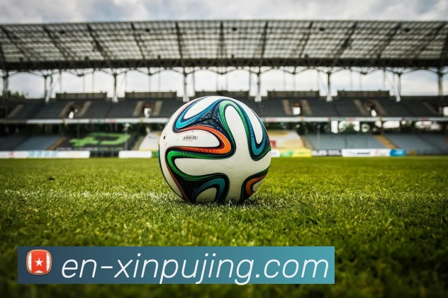 澳门新葡京娱乐服务体系